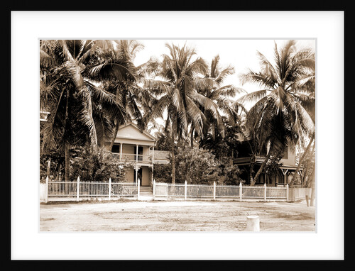 Residence in palm grove, Key West by Anonymous