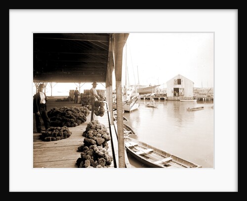Sponge exchange on wharf, Key West by Anonymous