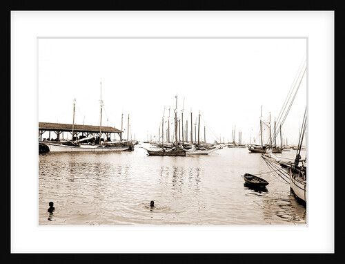 Sponge fleet in harbor, Key West by Anonymous