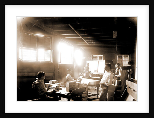 Packing cigars, Key West by Anonymous