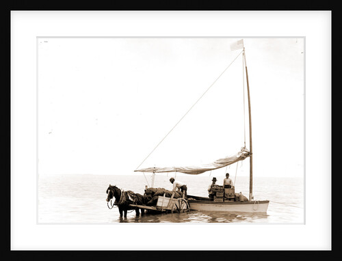 Coast traders, Key West by Anonymous