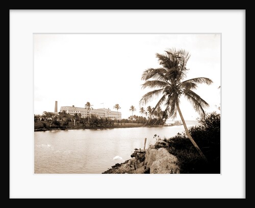 Royal Palm Hotel from Miami River, Hotels by Anonymous