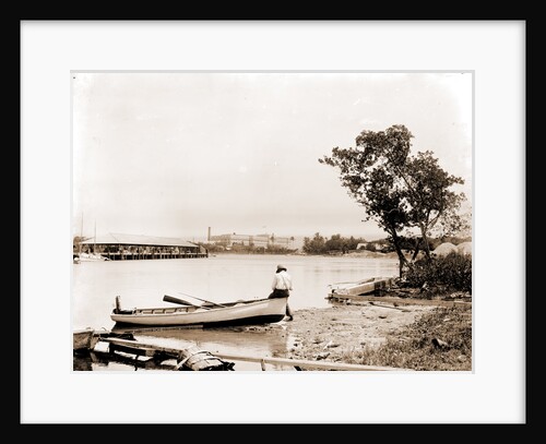 Miami River and the Hotel Royal Palm, Miami by Anonymous