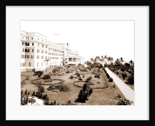 Hotel Royal Palm by Anonymous