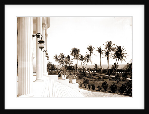 Porch of the Hotel Royal Palm by Anonymous