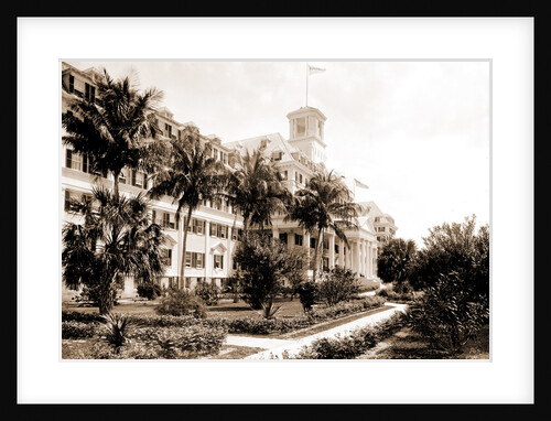 Hotel Royal Poinciana, Palm Beach by Anonymous