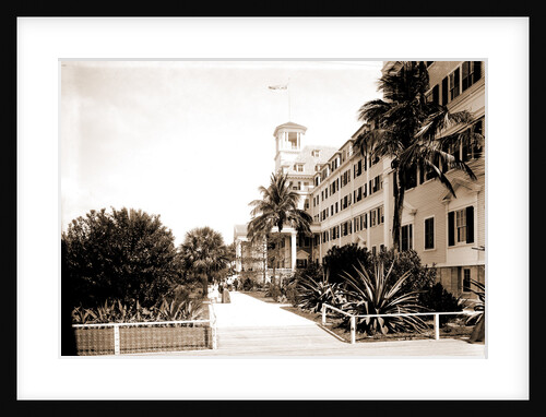 Hotel Royal Poinciana, Palm Beach by Anonymous