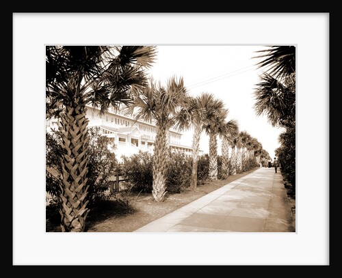 The Breakers, Palm Beach by Anonymous
