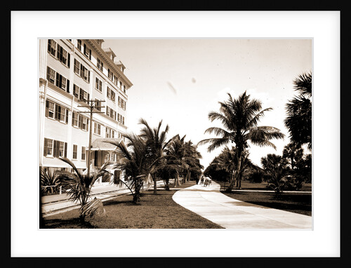 Bicycle Ave, Palm Beach by Anonymous