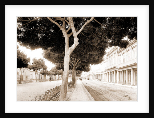 The Prado, Havana by Anonymous