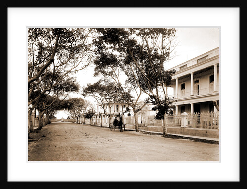 Residences in El Vedado, Havana by Anonymous