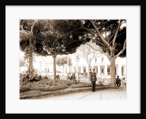 Central park, Havana by Anonymous