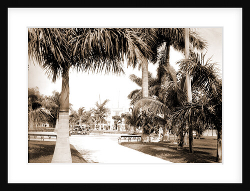 Colon Park, Havana by Anonymous