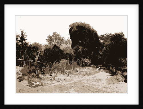 Iztacchihuatl sic from Amecameca, Jackson by Anonymous