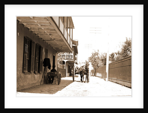 St. George Street, St. Augustine by Anonymous