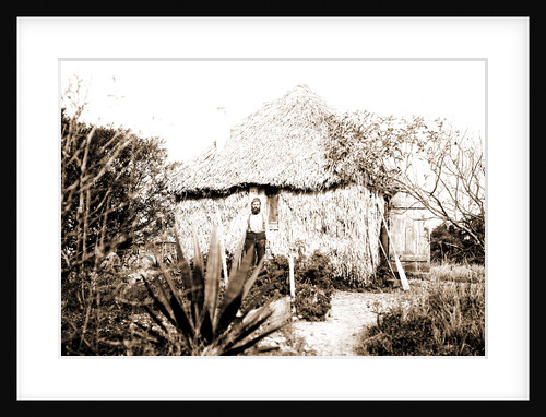 Thatched cottage at Barker's, Jackson by Anonymous