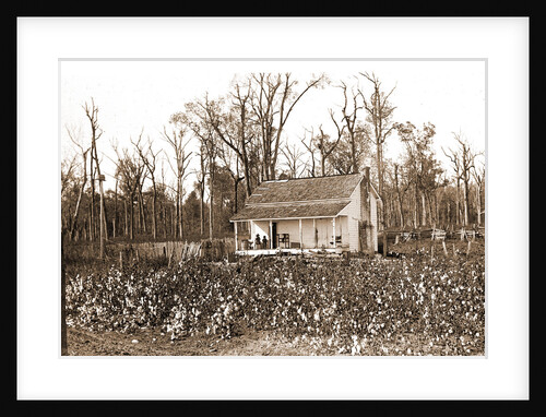 Home of the cotton picker, Jackson by Anonymous