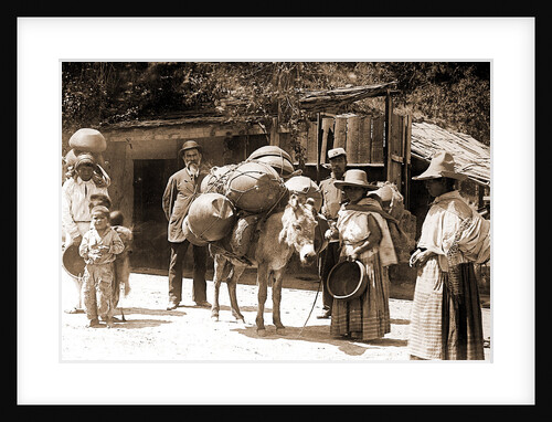 Street scene, City of Mexico by Anonymous
