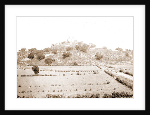 Cholula, the Pyramid Gran Piramide by Anonymous