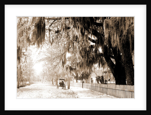 Sumter Avenue, Summerville by Anonymous