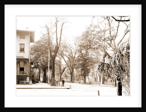 Liberty St, Savannah by Anonymous
