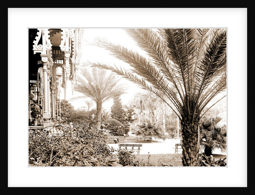 The Grounds of Tampa Bay Hotel, Tampa by Anonymous