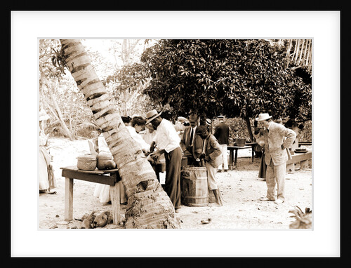 Tourists buying coconuts and fruit from vendor, probably Nassau by Anonymous