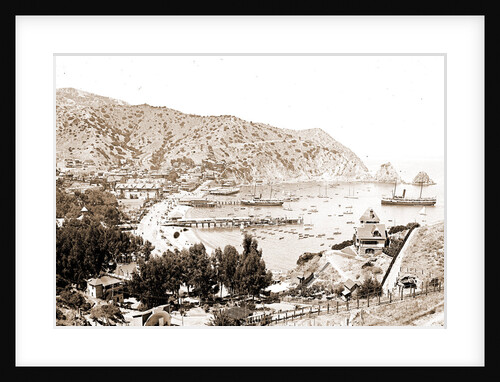 Harbor and Avalon Greek Theater, Avalon by Anonymous