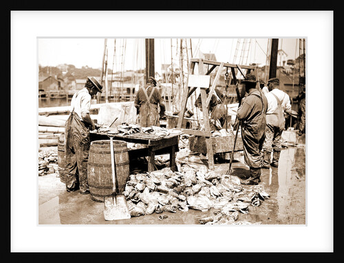 Weighing up the catch, Gloucester by Anonymous
