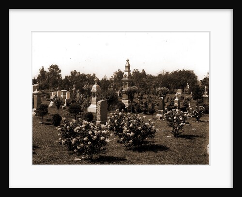 Cemetery, Cemeteries by Anonymous