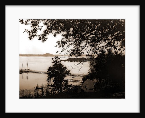 Lakefront with steam yachts at pier, Saratoga Lake by Anonymous