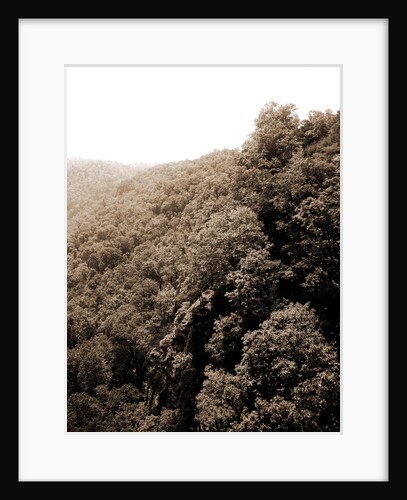 Mountainside with trees, Mountains by Anonymous