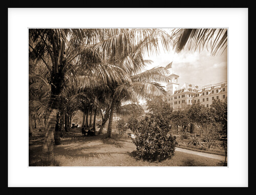 Hotel Royal Poinciana, Lake Worth by Anonymous