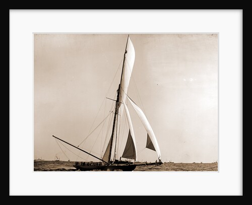 Shamrock crossing the line, Shamrock I (Yacht) by Anonymous