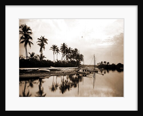 Miami River evening, Waterfronts by Anonymous