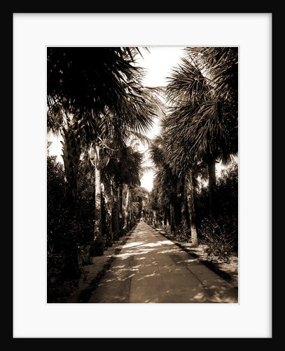 Palm Beach, Florida by Anonymous