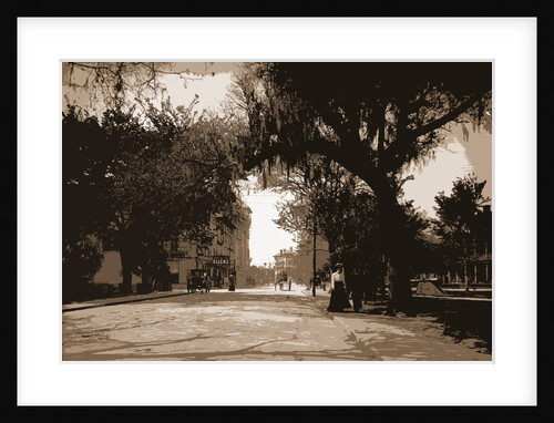 King Street, St. Augustine by Anonymous