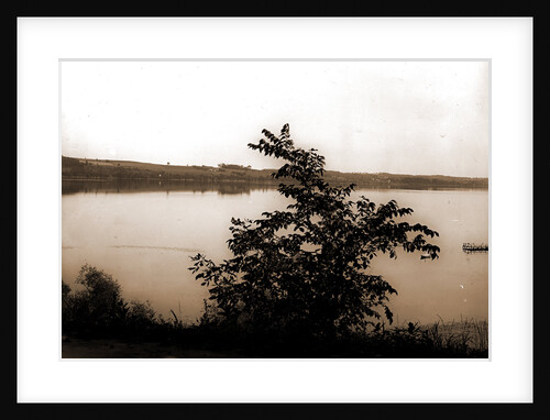 Saratoga Lake, N.Y by Anonymous