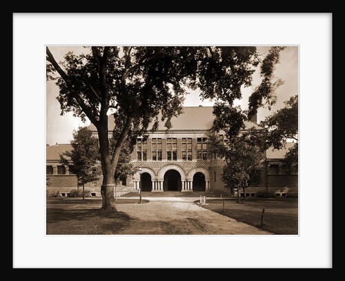 The Law School, Harvard College by Anonymous