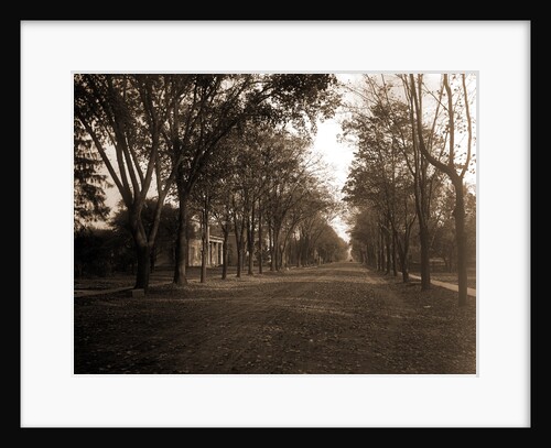 Elizabeth Street, Dansville by Anonymous