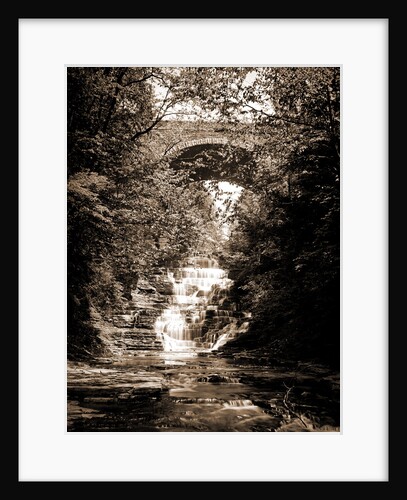 Cascadilla Gorge, Ithaca by Anonymous