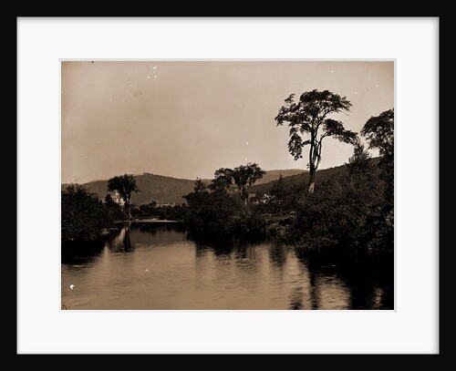 On the Ammonoosuc, White Mountains by Anonymous