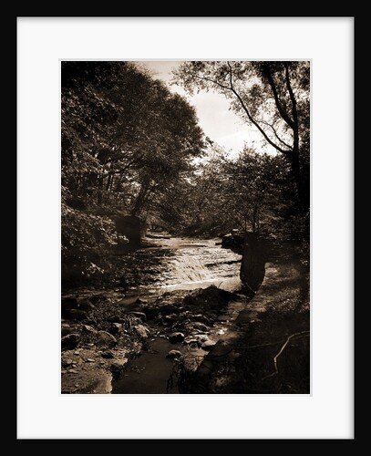 Waterfall in Wade Park, Cleveland by Anonymous