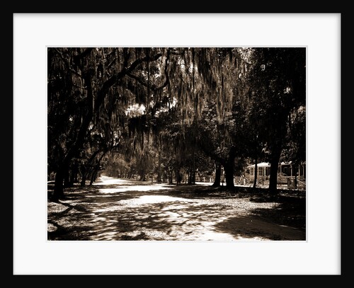 Ridgewood Ave, Daytona by Anonymous