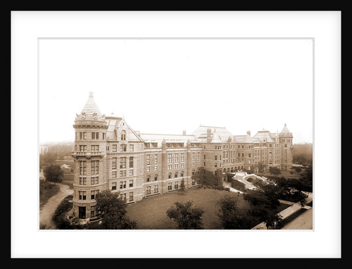 American Museum of Natural History, New York by Anonymous