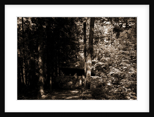 Alligator Head near South Lake, Catskill Mountains by Anonymous