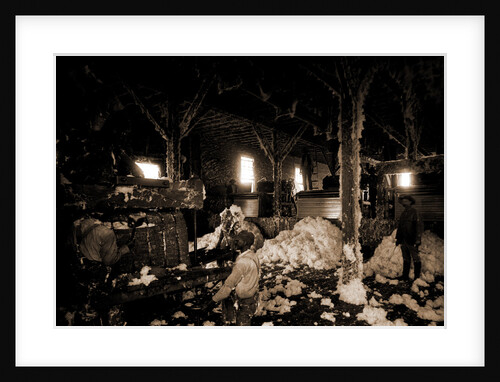 Cotton gin at Dahomey, Cotton industry by Anonymous
