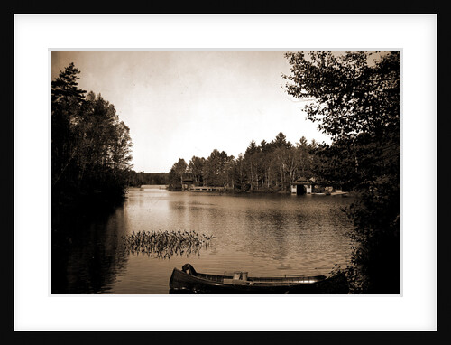 Outlet, Upper St. Regis Lake by Anonymous