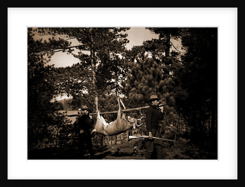 Hunting in the Adirondacks, Deer hunting by Anonymous