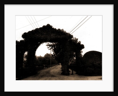 Jarvis Lane, Far Rockaway by Anonymous